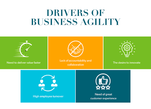 case study business agility